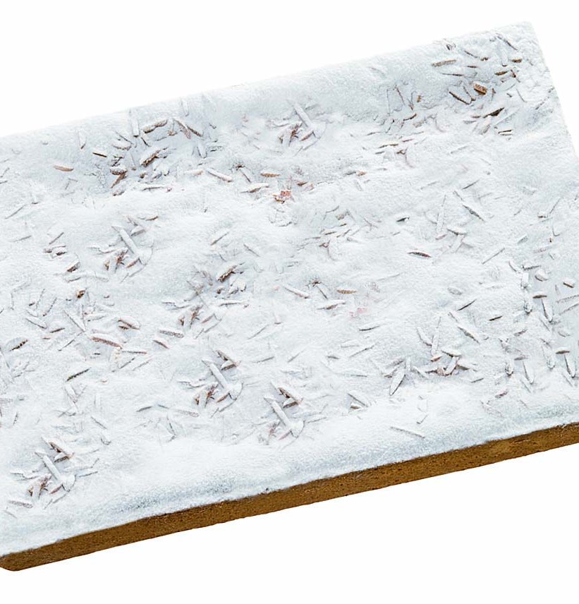 25006d-torta-della-nonna-maxi.jpg