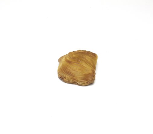Sfogliatella classica riccia