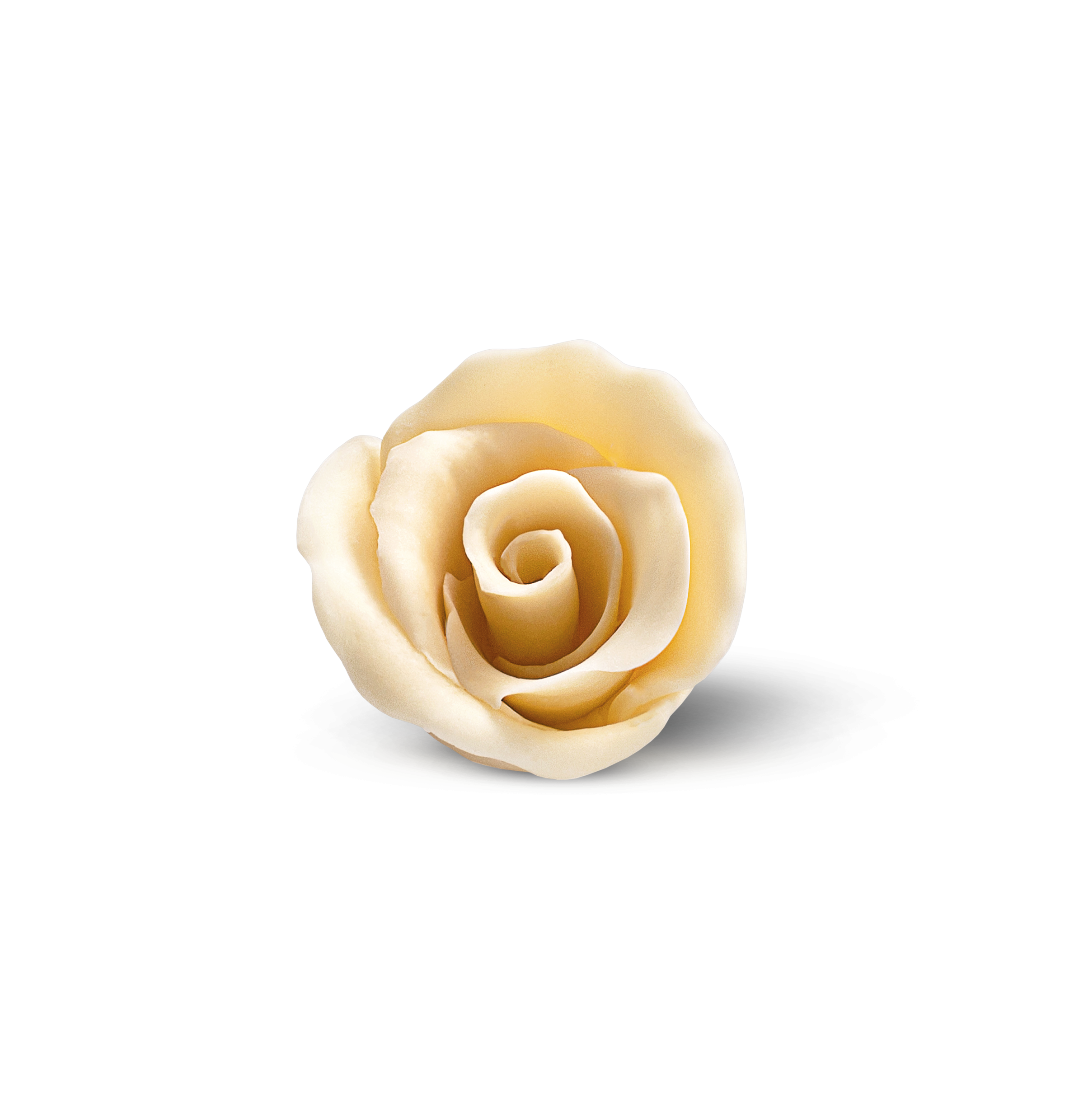 rosa-bianca.png