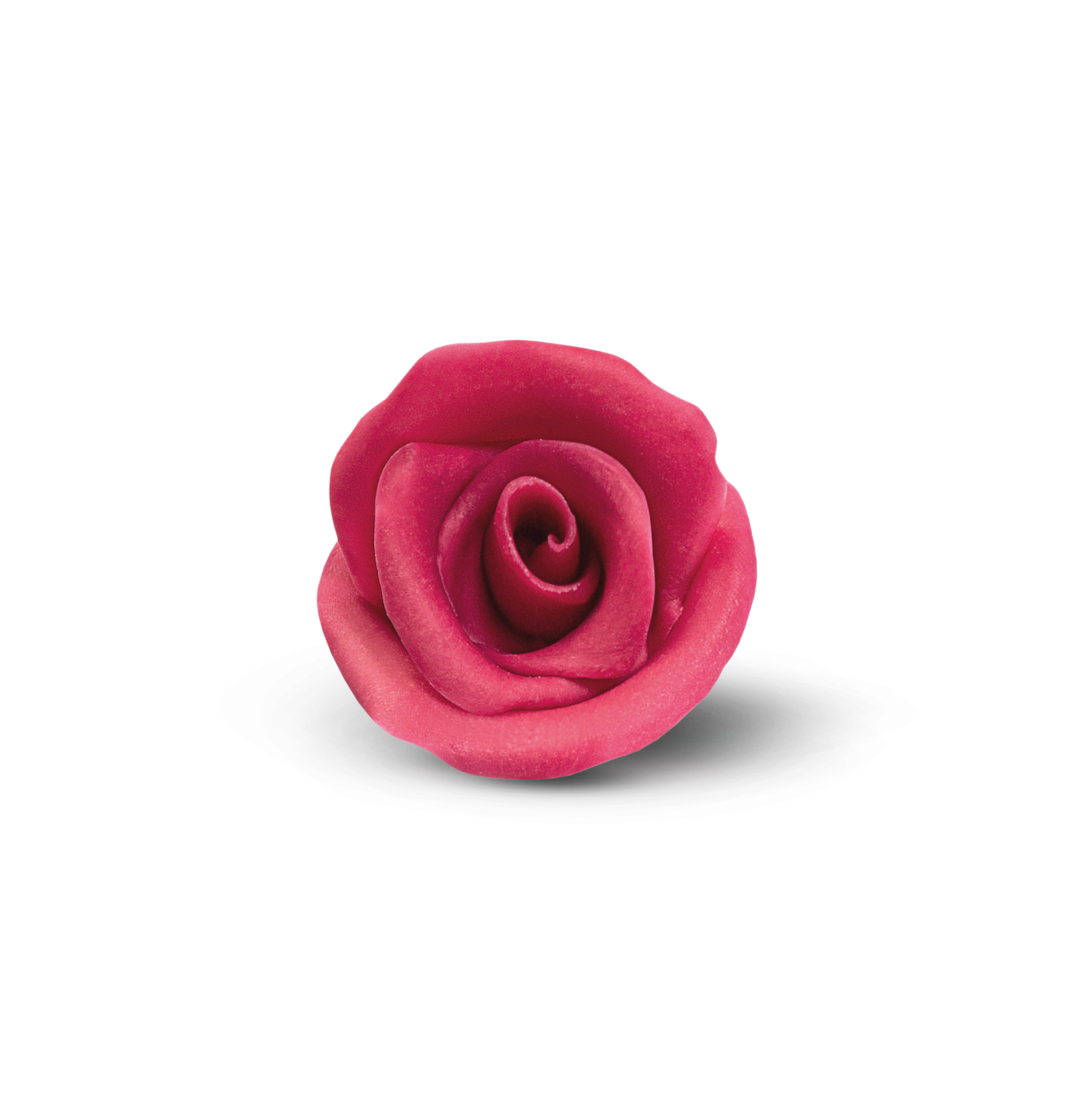 rosa-rossa.png